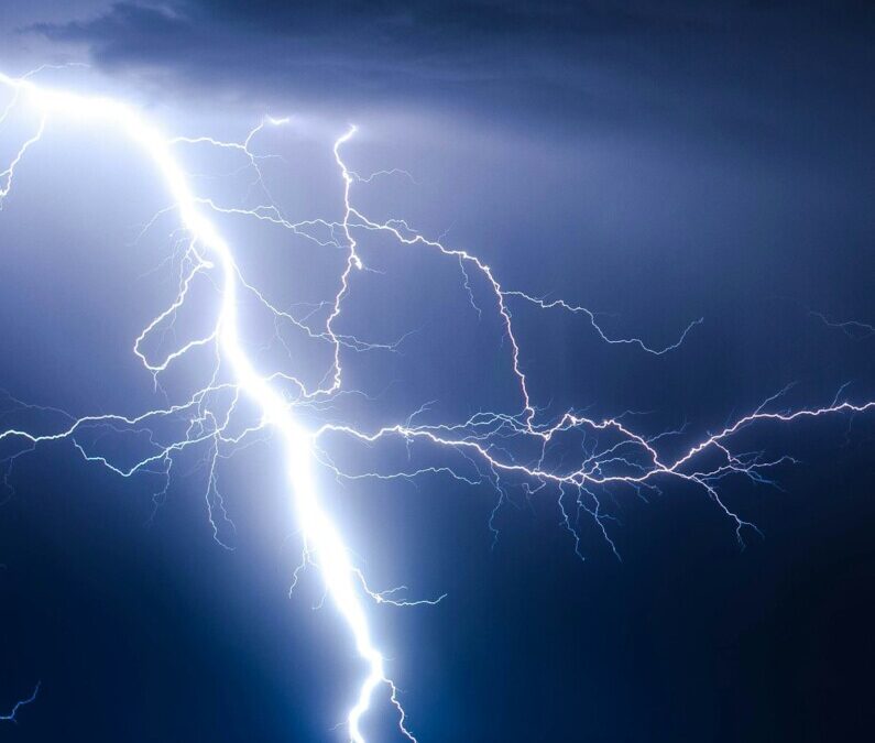 The Tesla Blueprint: Bioelectricity, Vortex Math, and the Secrets of the Universe